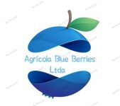 Logo Agricola Blue Berries